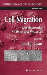 Wound-Healing Assay | Springer Nature Link