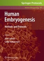 Human Embryogenesis: Methods and Protocols | SpringerLink