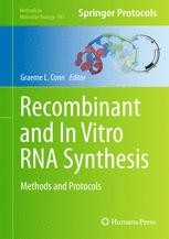 In Vitro Transcription of Modified RNAs | Springer Nature Link