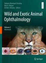 Ophthalmology of Ursidae: Bears | Springer Nature Link