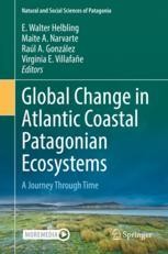 Conservation of Coastal Atlantic Environments in Northern Patagonia: A  Critical Review | SpringerLink