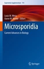 link.springer.com