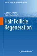 The Dermal Papilla and Hair Follicle Regeneration: Engineering