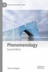 Phenomenology | Springer Nature Link