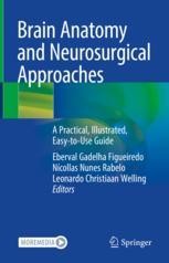 健康・医学 Basic Techniques of Microsurgery Microsurgical Basics and Bypass Techniques: 9781626235304