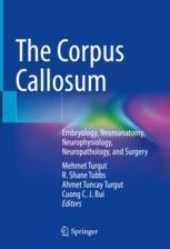 Traumatic Axonal Lesions of the Corpus Callosum | SpringerLink