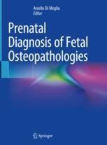 Fetal Neurology, An Issue of Clinics in Perinatology (Volume