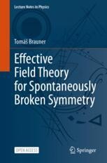 Broken Spacetime Symmetry in Quantum Matter | Springer Nature Link