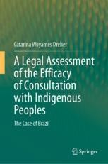 Assessing Consultation with Indigenous Peoples in Brazil