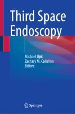 Third Space Endoscopy | Springer Nature Link