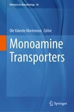 Dopamine–Glutamate and Dopamine–GABA Co-release | Springer Nature Link