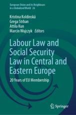 Labour Law and Social Security Law in Central and Eastern Europe: 20 ...