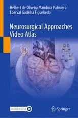 Introduction to Cranial Approaches | Springer Nature Link