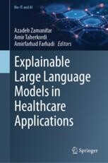 Core Techniques for Explaining LLMs in Healthcare | Springer Nature Link