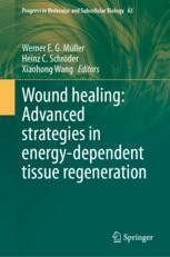 Wound healing: Advanced strategies in energy-dependent tissue