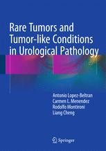 Rare Tumors and Tumor-like Conditions in Urological Pathology ...