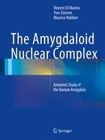 わかりやすい核医学 = Textbook of Clinical Nuclea… わかりやすい核医学 | 玉木長良, 平田健司, 真鍋 治 |本 | 通販