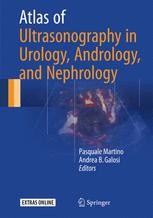 Kidney: Ultrasound Anatomy and Scanning Methods | Springer Nature Link