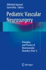 Spinal Vascular Anatomy with Variations | SpringerLink
