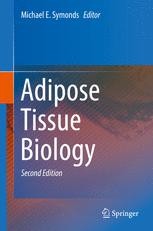 Mechanism of up-regulated H2O2 BPA-derived production and