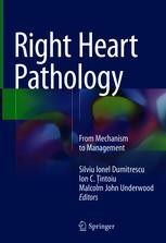 Primary and Secondary Pulmonary Hypertension | Springer Nature Link