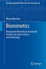 Biomimetics: Bioinspired Hierarchical-Structured Surfaces for 