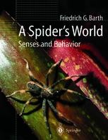 A Spider's World: Senses and Behavior | Springer Nature Link