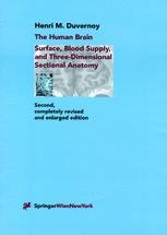The Human Brain: Surface, Three-Dimensional Sectional