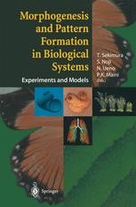 洋書 MORPHOGENESIS Morphogenesis and Pattern Formation in Biological Systems