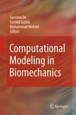 Computational Modeling in Biomechanics | SpringerLink