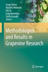 Grapevine Roots and Soil Environment: Growth, Distribution and Function ...