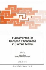 Transport Phenomena in Porous Media — Basic Equations
