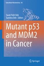 Mutant p53 and MDM2 in Cancer | Springer Nature Link