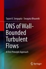 DNS of Wall-Bounded Turbulent Flows: A First Principle