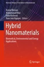 Hybrid Nanomaterials: Biomedical, Environmental and Energy Applications ...
