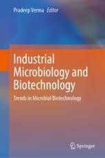 Process Engineering for Scalable Collagen Production: Upstream and