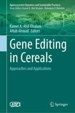 CRISPR/Cas12a-Based Biosensors and Applications in Cereal Safety