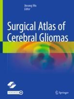 健康・医学 BRAIN SURGERY volume1 Surgical Atlas of Cerebral Gliomas | SpringerLink
