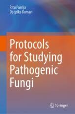 Growth Curve Preparation for the Calculation of Fungal Cell Count Over Time