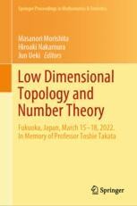 Low Dimensional Topology and Number Theory: Fukuoka, Japan Low Dimensional Topology and Number Theory: Fukuoka, Japan
