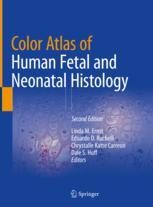 Download Color Atlas Of Human Fetal And Neonatal Histology Linda M Ernst Springer