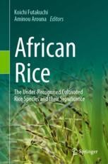 African Rice: The Under-Recognised Cultivated Rice Species and