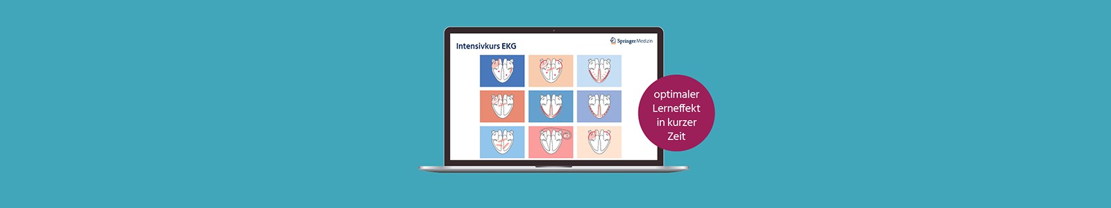 Intensivkurs EKG