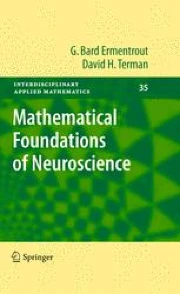 Mathematical Foundations of Neuroscience | Springer Nature Link
