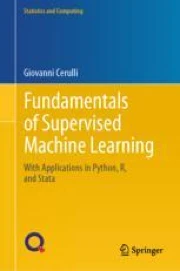 Fundamentals of Supervised Machine Learning: With Applications in ...