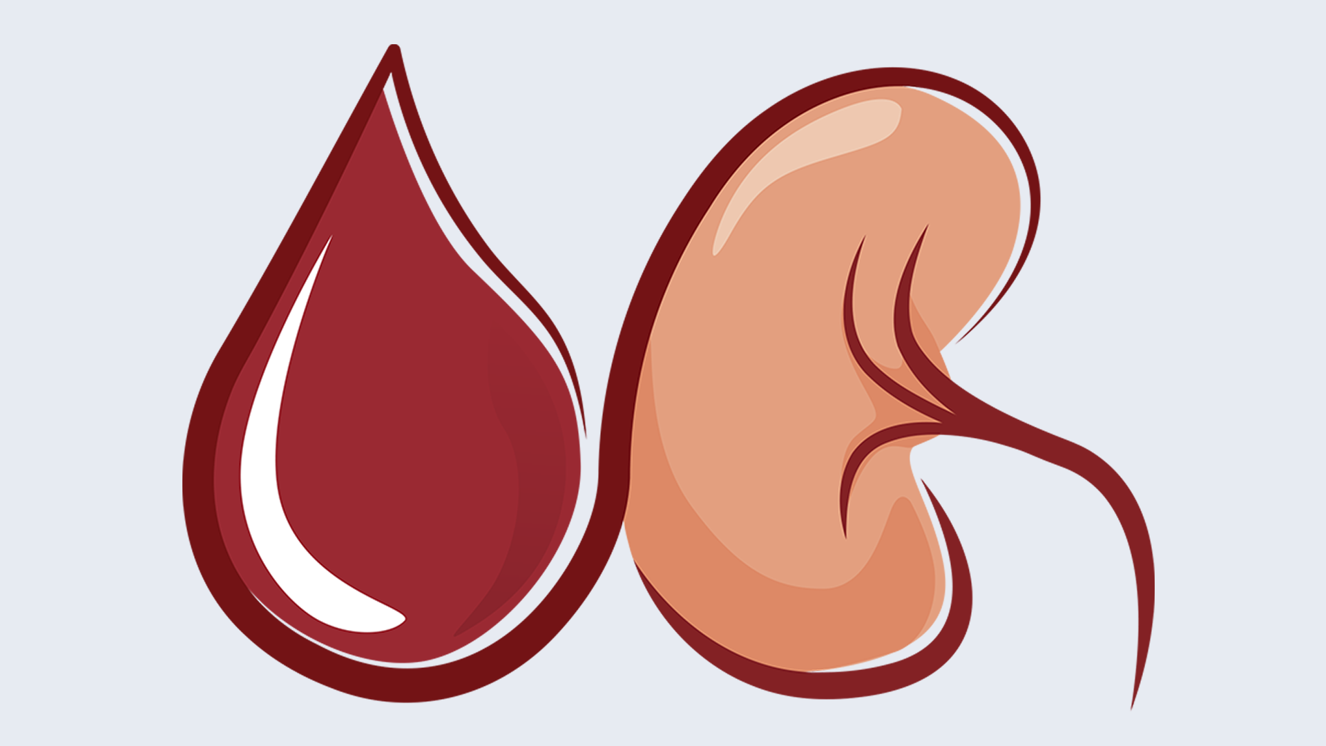 T2D & CKD: Putting evidence into practice