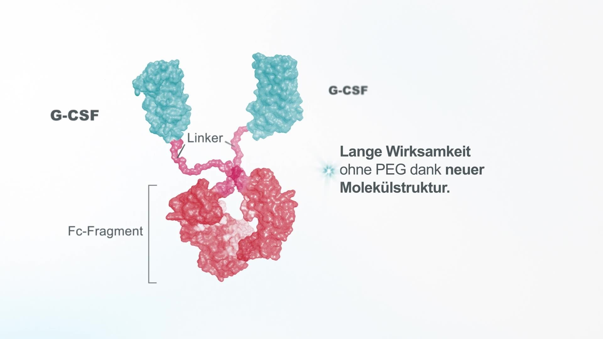 Wirkmechanismus von Efbemalenograstim alfa