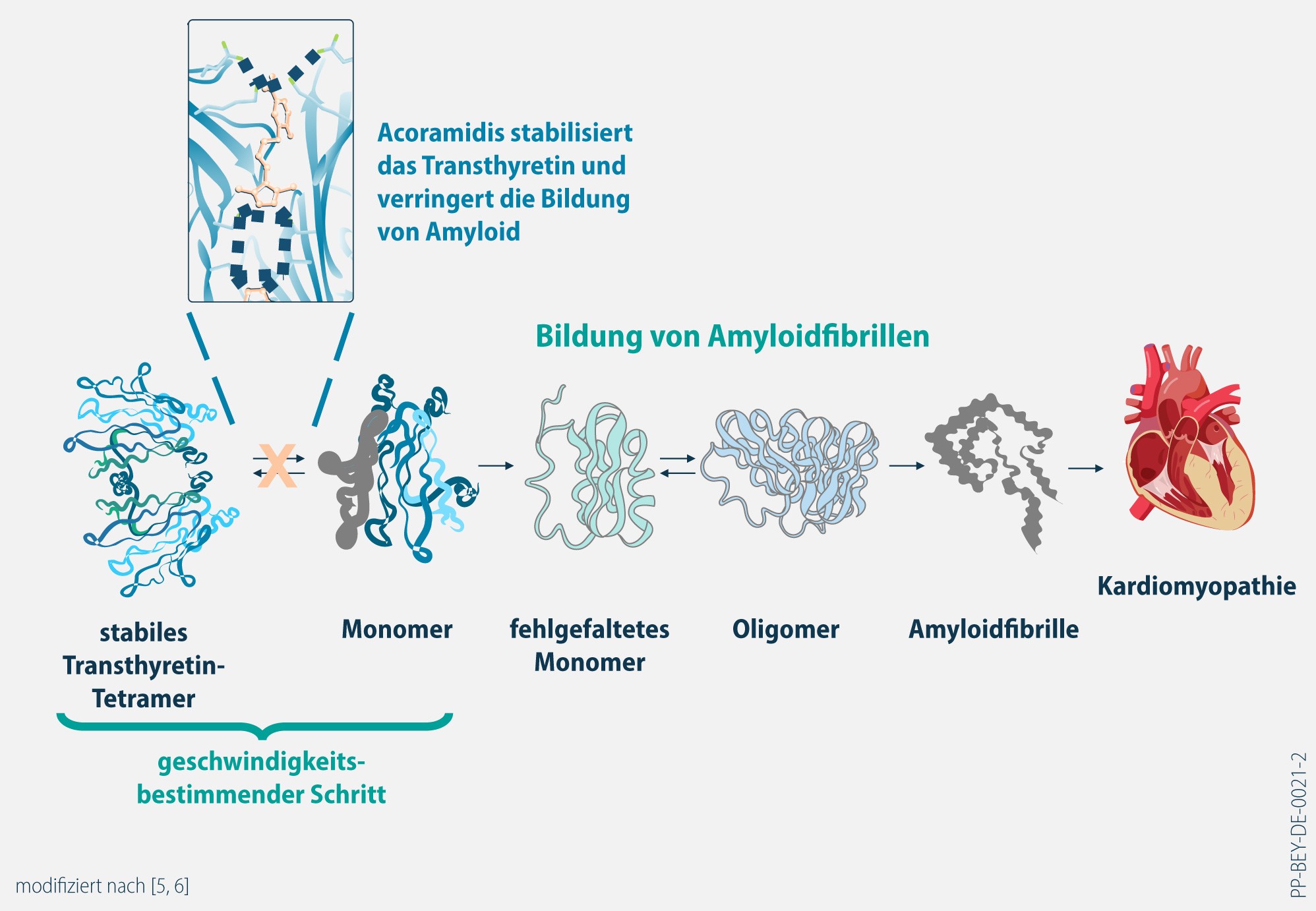 Abbildung Bayer BEYONTTRA