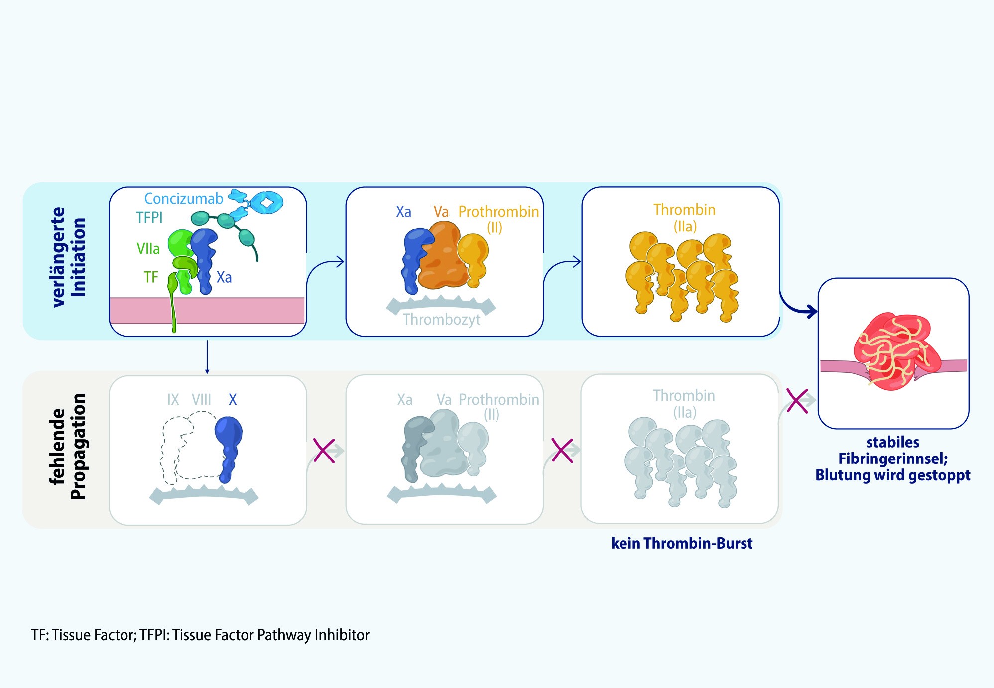 Abbildung Novo Nordisk Alhemo