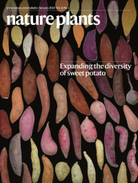 Volume 11 | Nature Plants